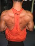 Upper back muscles